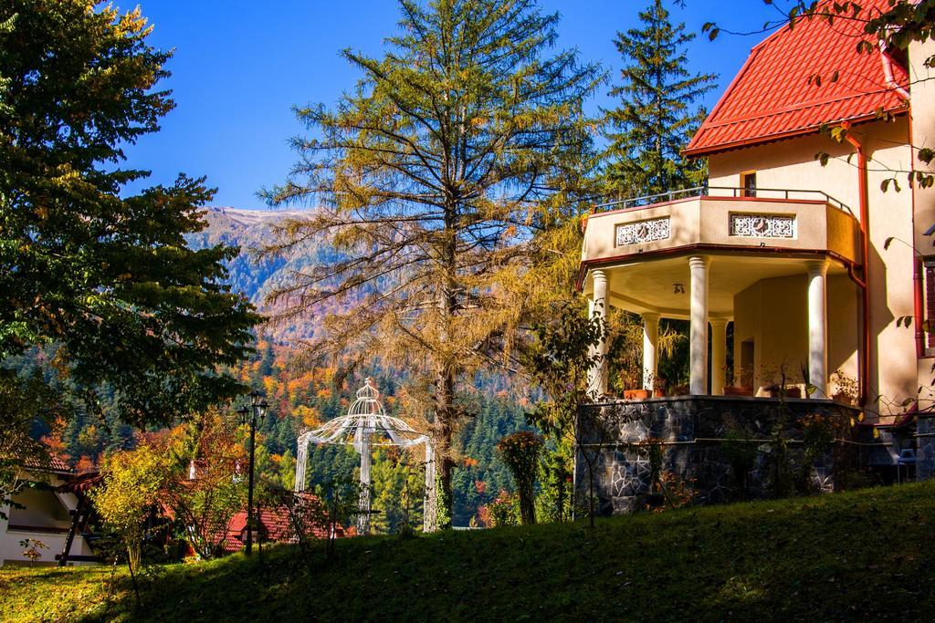 Pensiunea Boema Sinaia Exterior foto