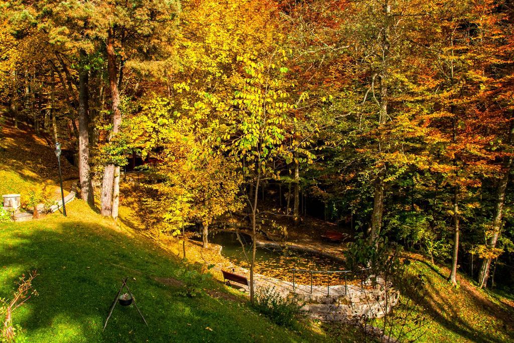 Pensiunea Boema Sinaia Exterior foto